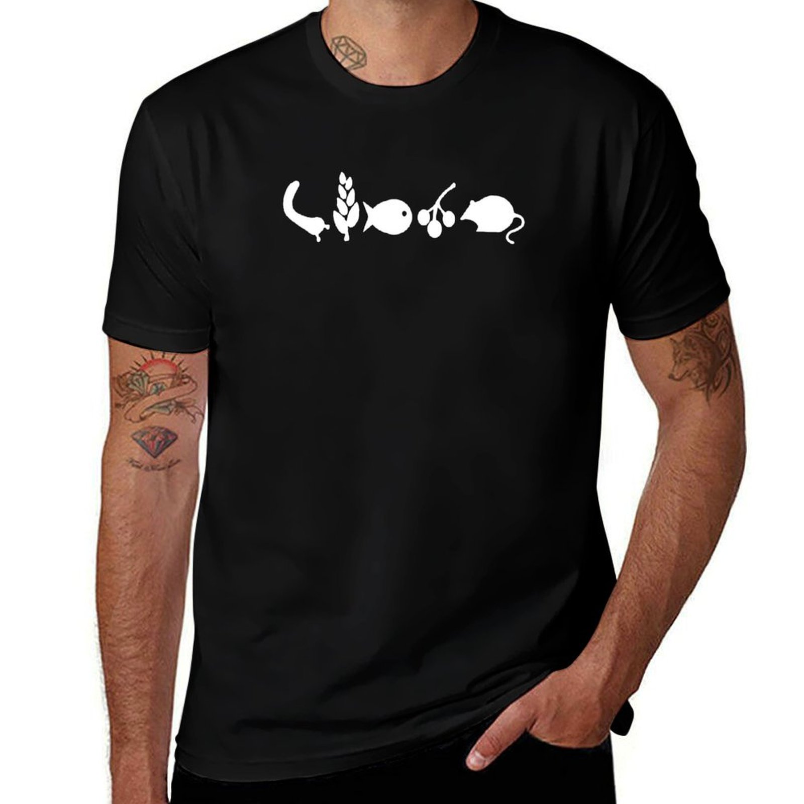 Board Game Wingspan - Wingspan Board Game, T-shirt Wingspan BoardGame-WfdUk,