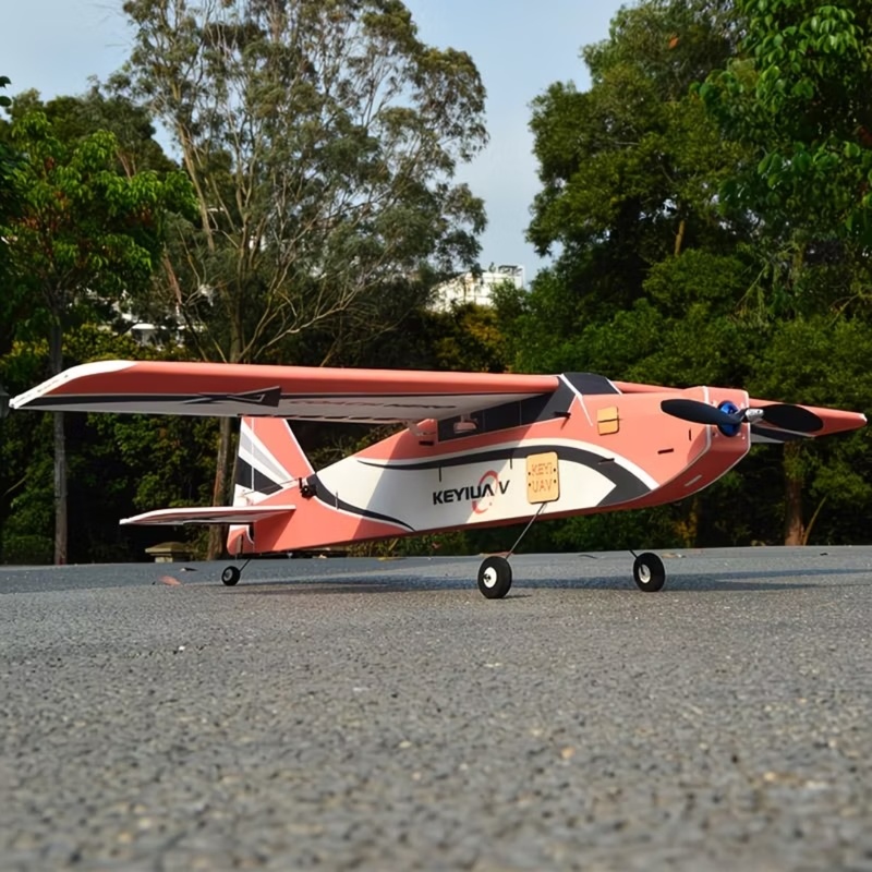 KEYIUAV Aereo RC ad Ala Fissa  - Board Game Wingspan recensione e prezzo
